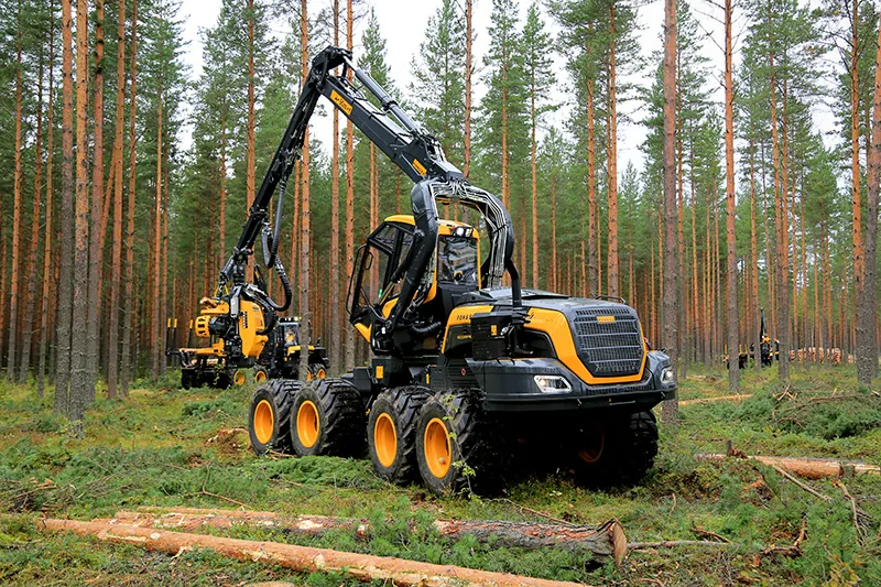 Forestry work